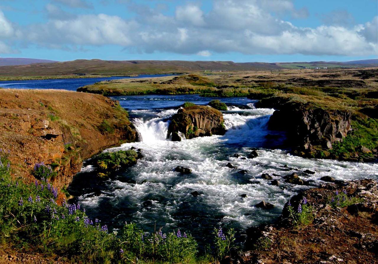 Lodge Laxhus *