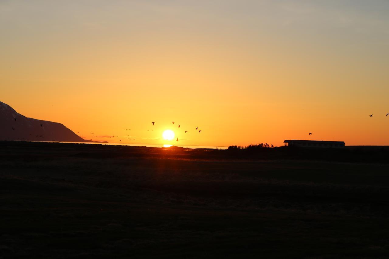 Lodge Laxhus *
