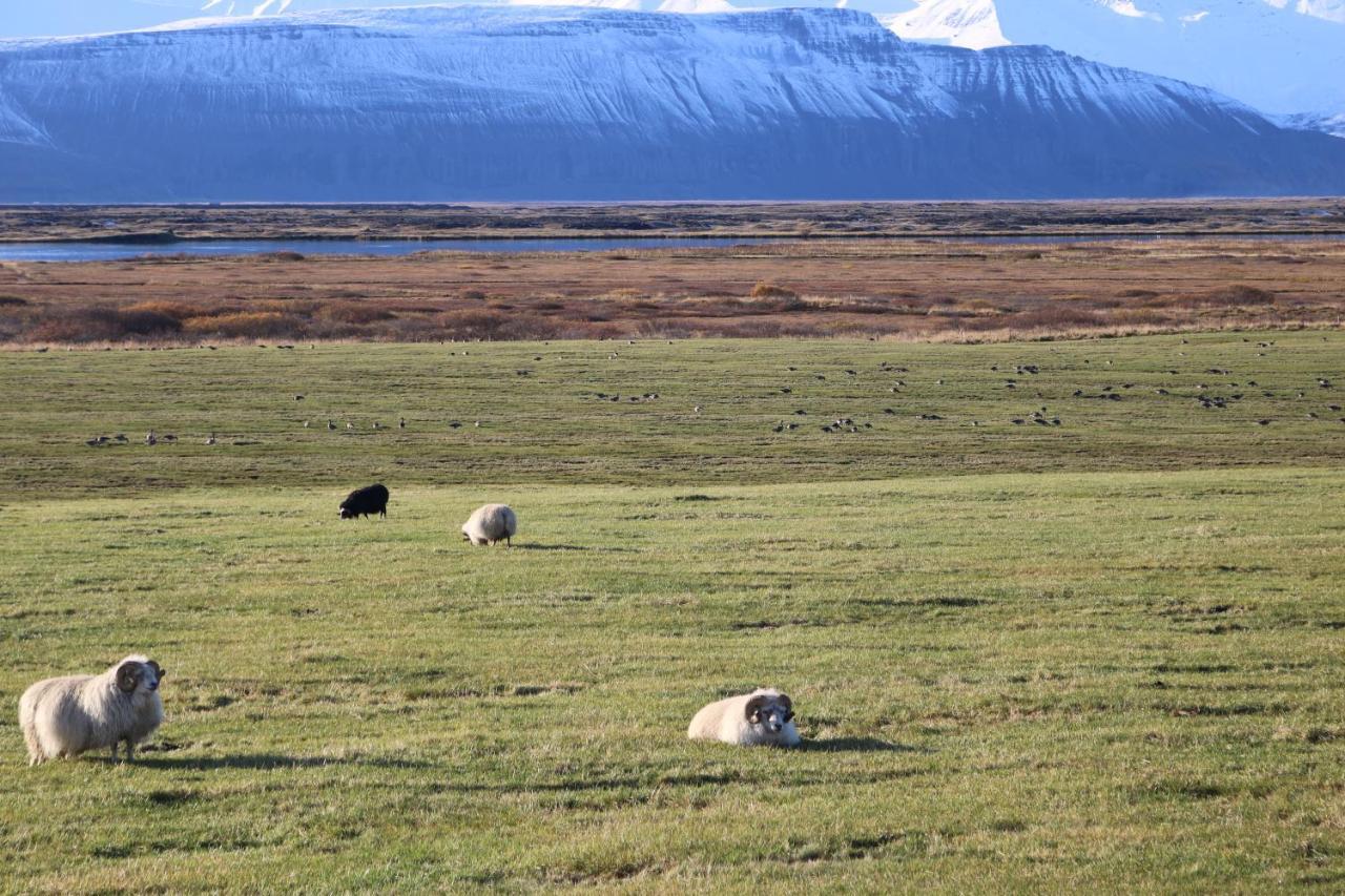 Laxhus * Húsavík